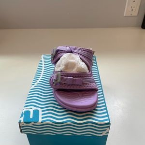 Brand new Native Davis Purple Sandals